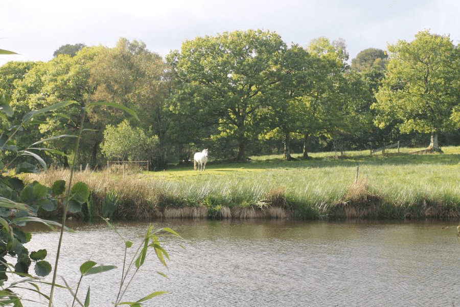 View to camping field